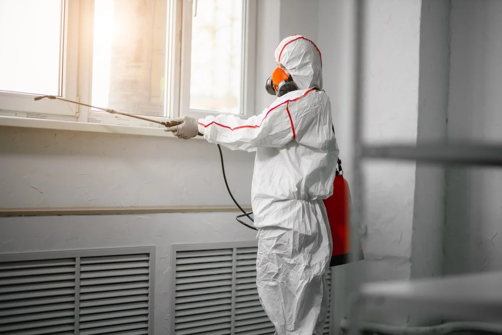 Professional mold remediation services in Wayland, MI